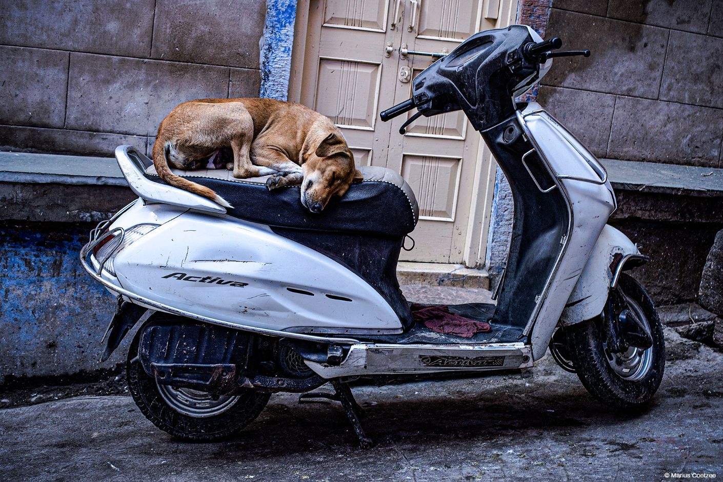 Indian photography tours
