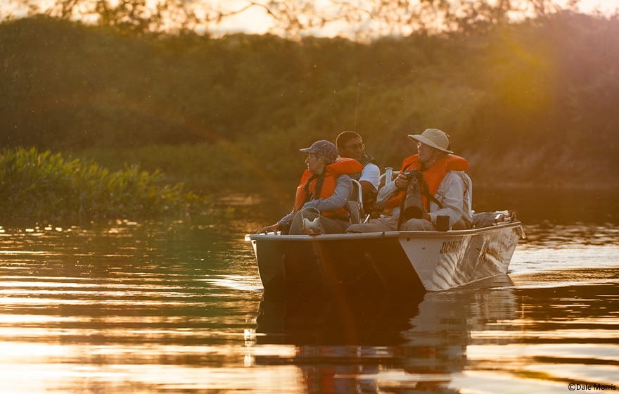 Pantanal photography tour