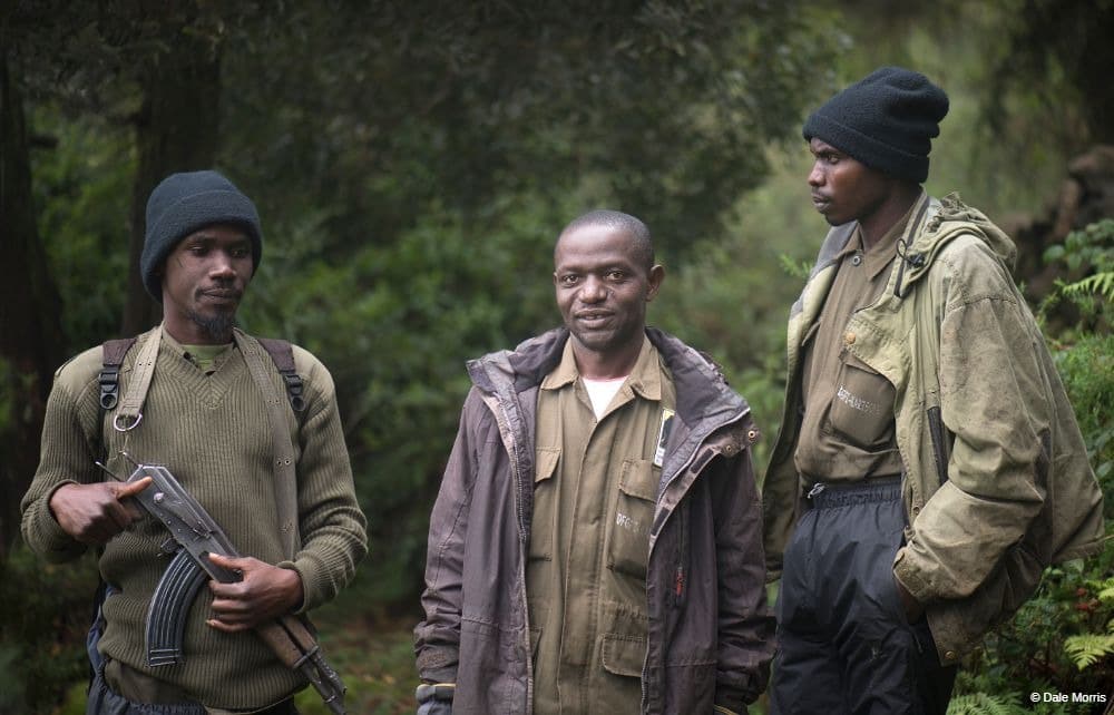 Gorilla trekking in Rwanda