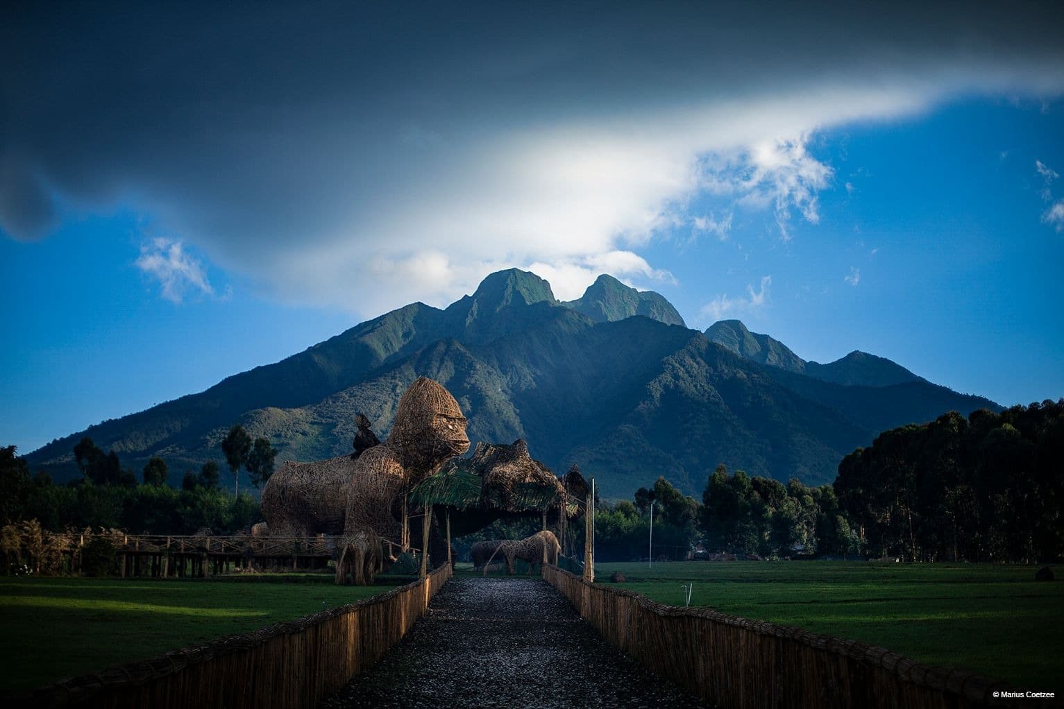 Rwanda photo safari