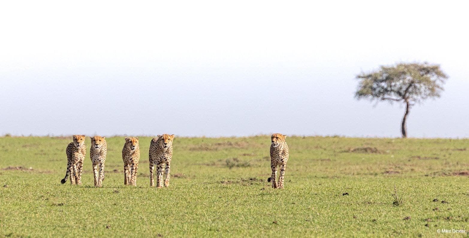 Kenya photo tours