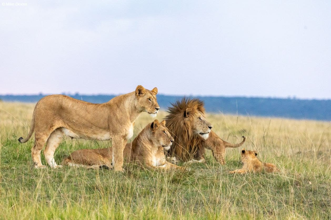 Kenya photography tour