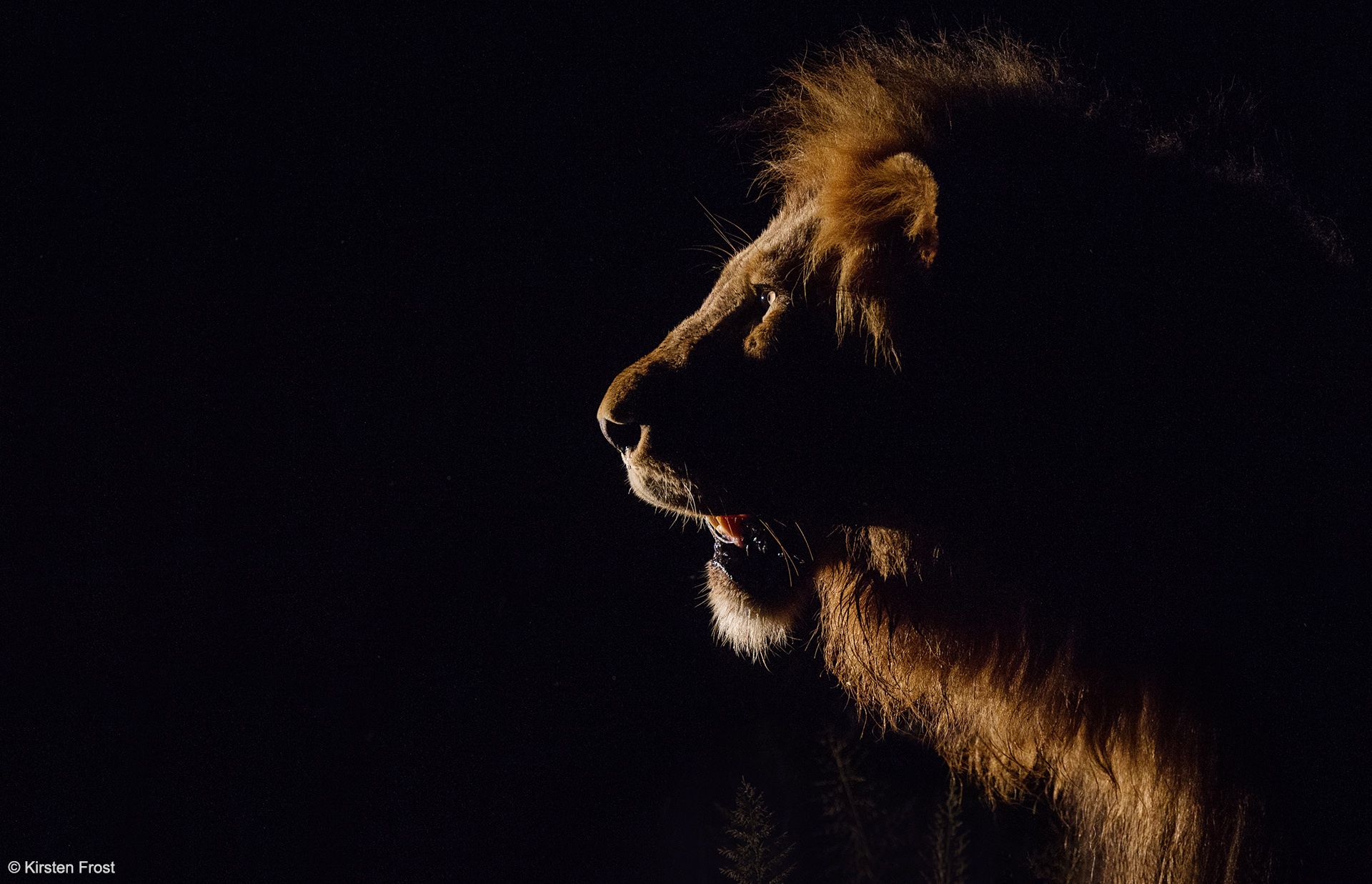 Africa Photography Tours