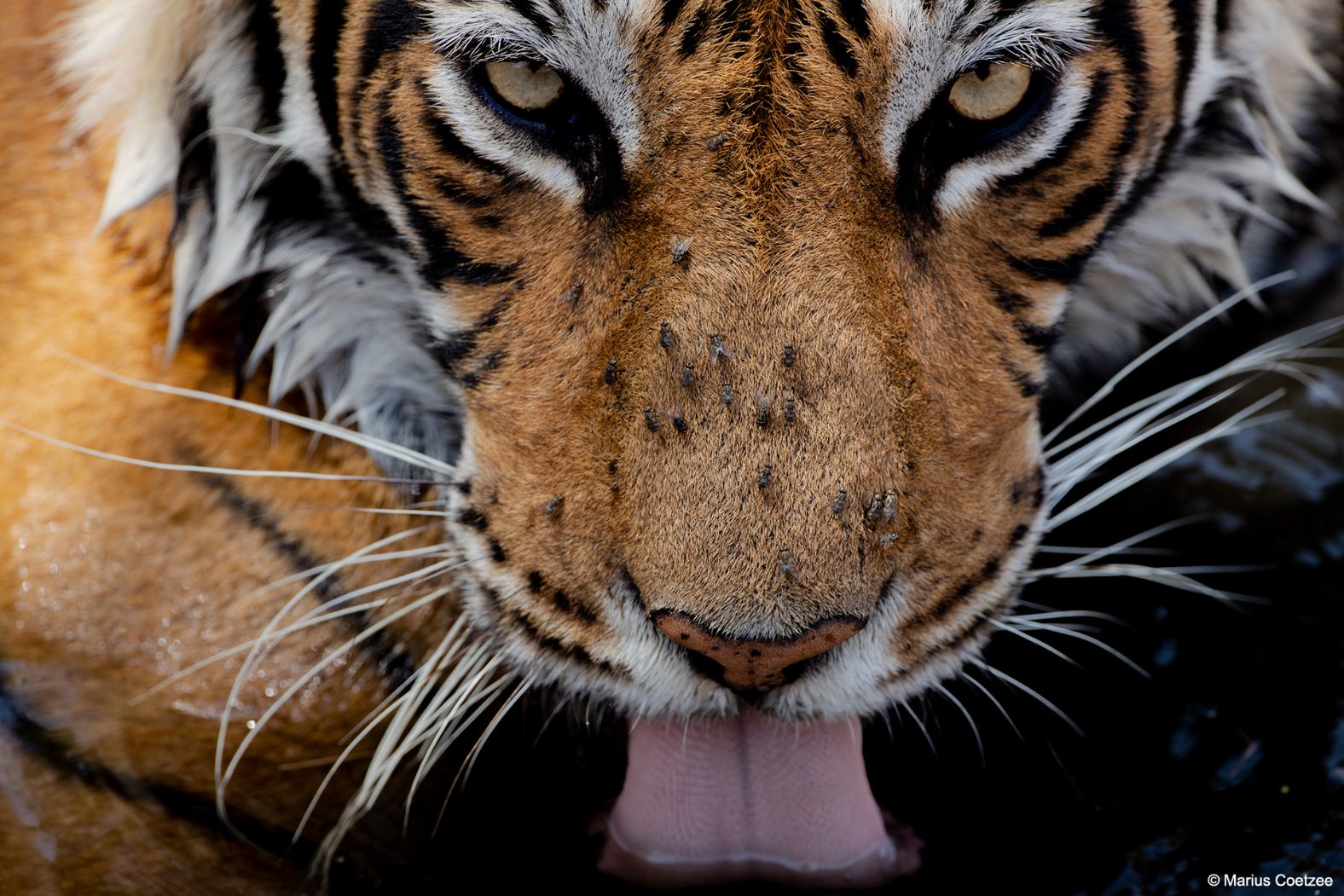 India Photo Tours