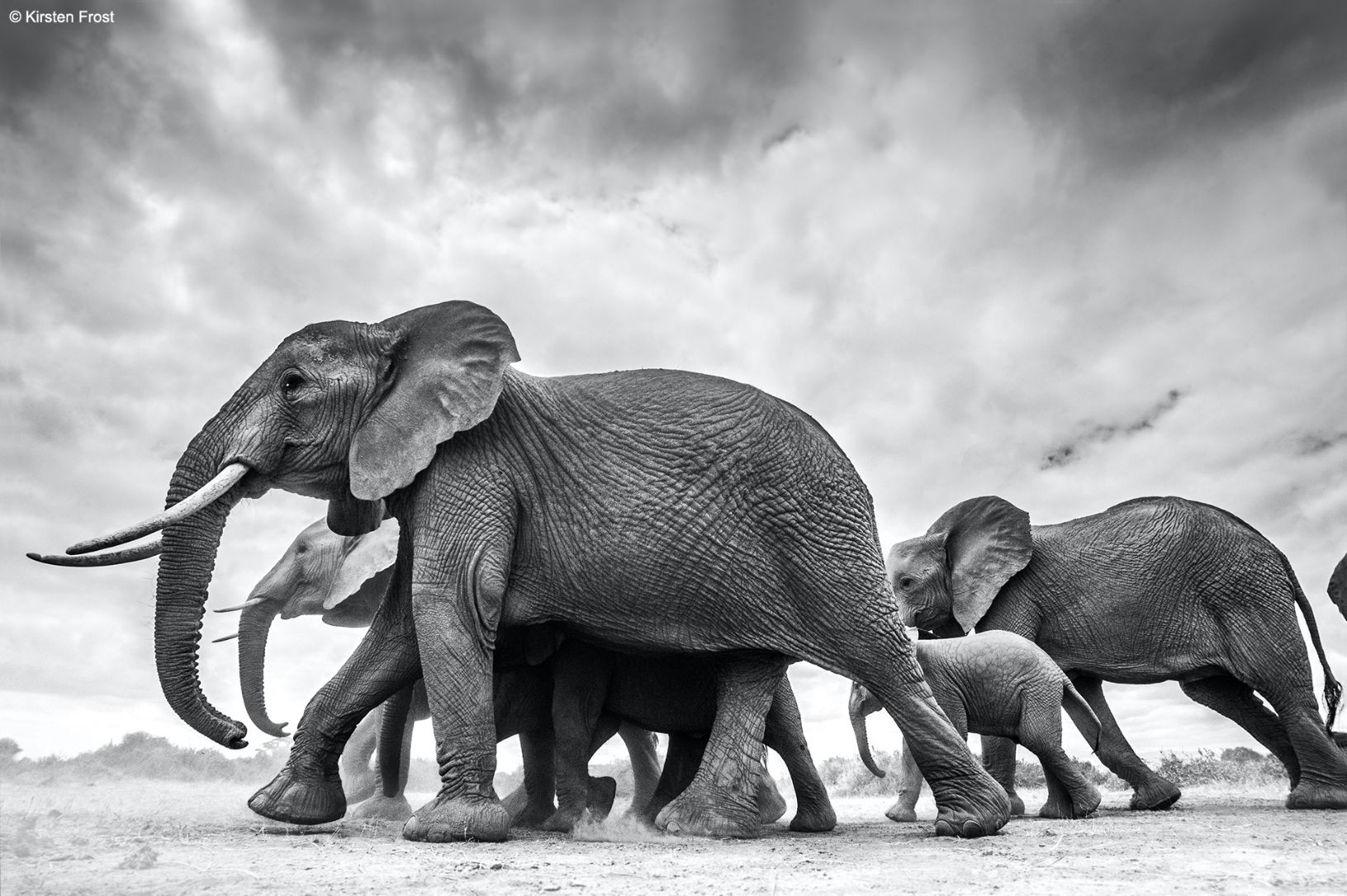 Kenya Photography Tour