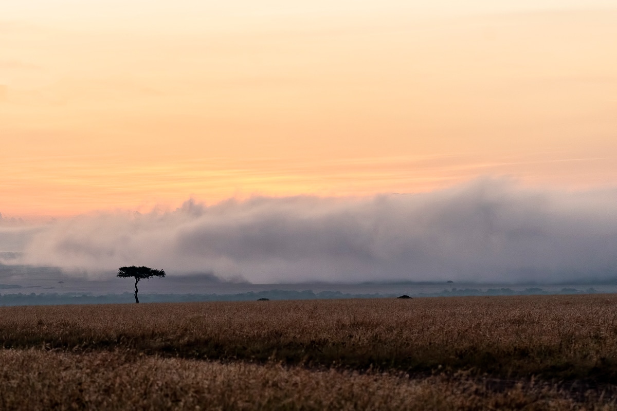Masai mara tour