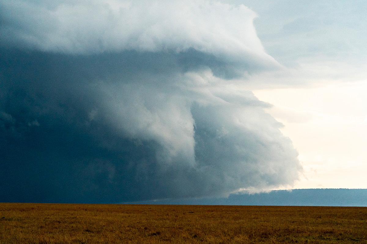 Masai mara tour
