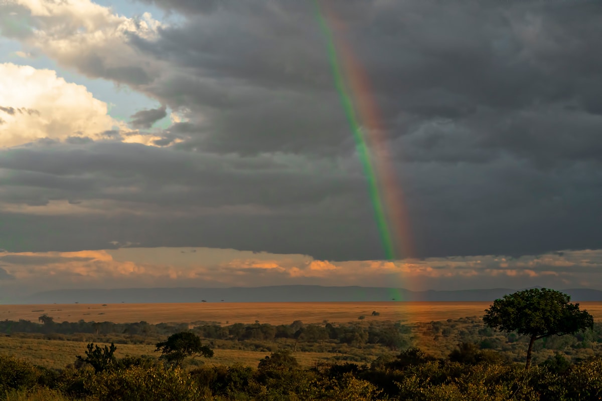 Masai mara tour