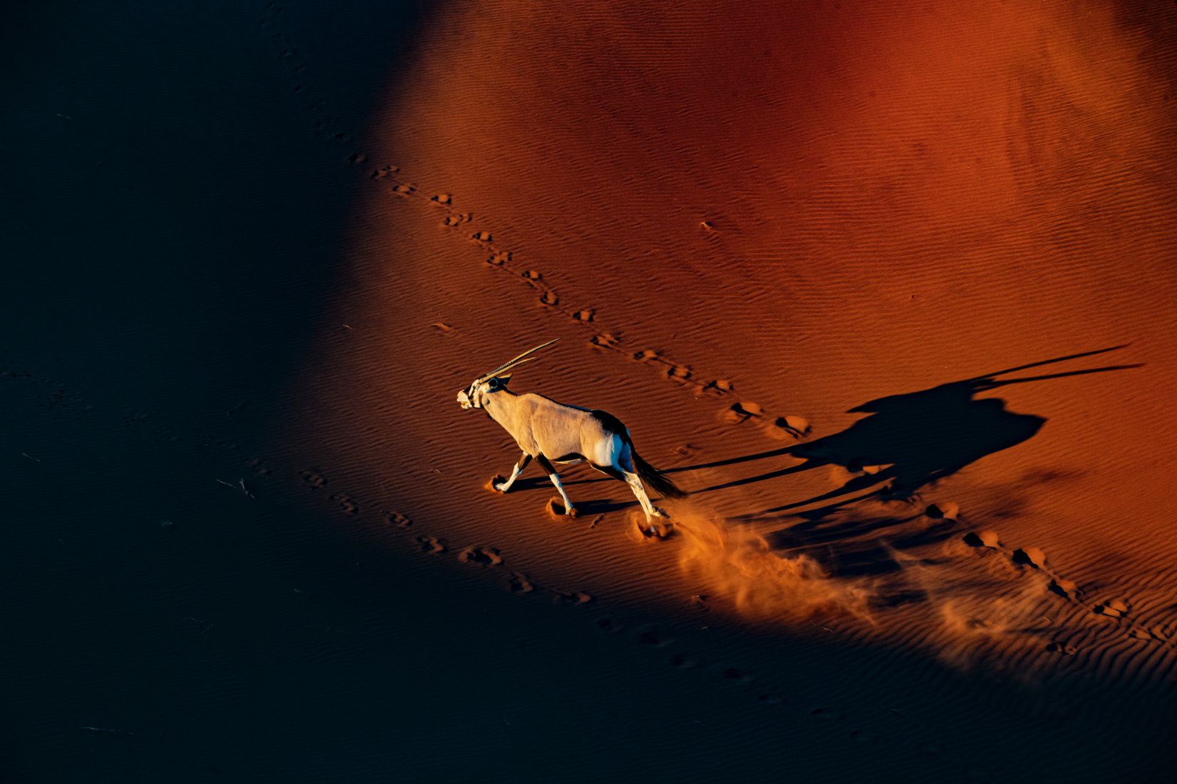 Namibia Photo Tours