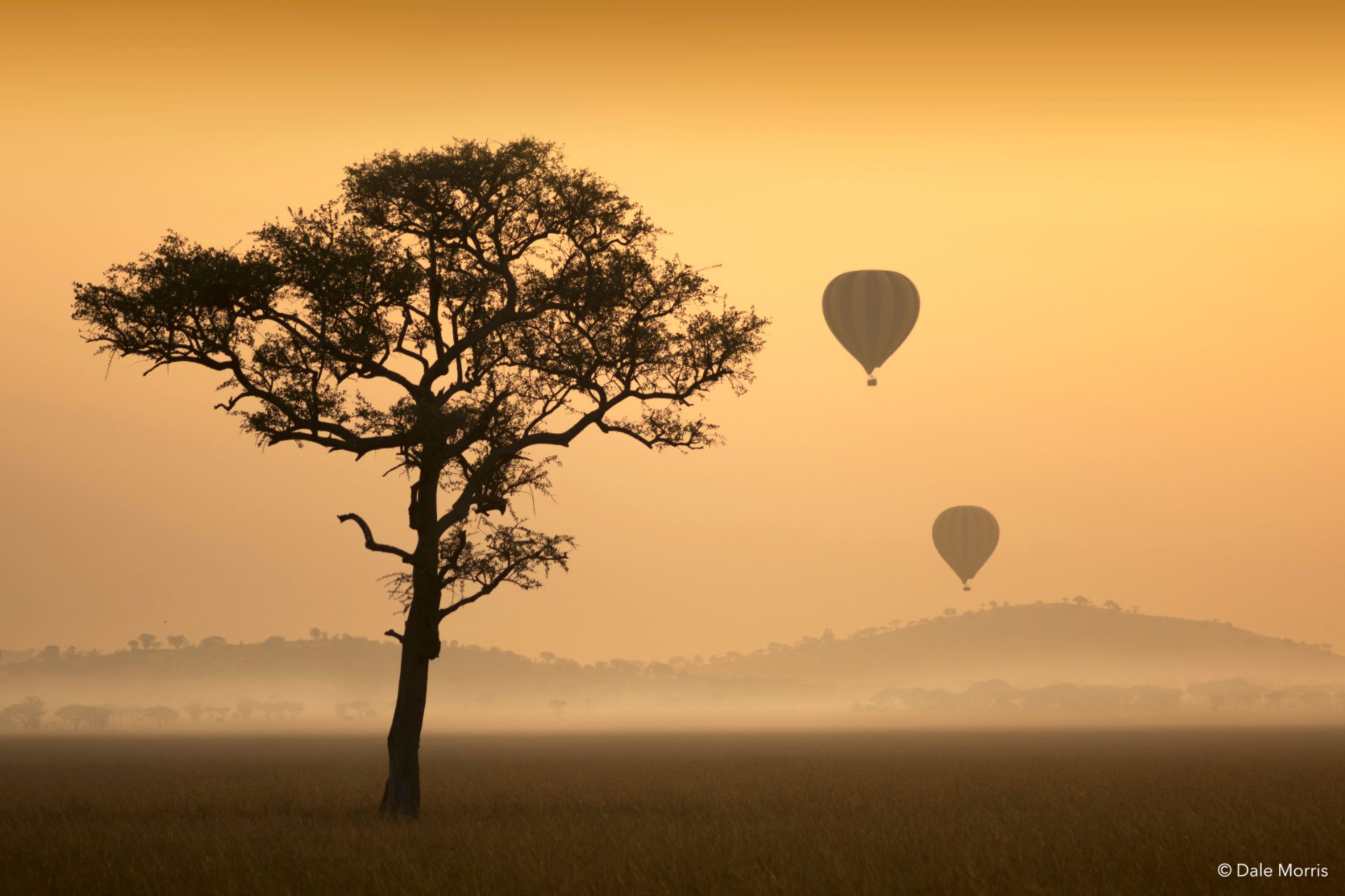 kenya photo safari tours
