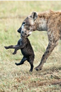 kenya photo tour