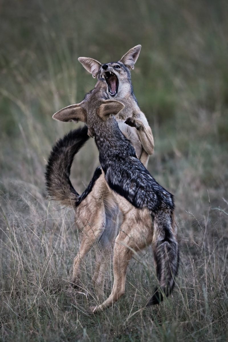kenya photo tour