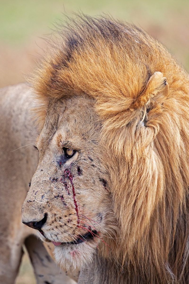 kenya photo tours