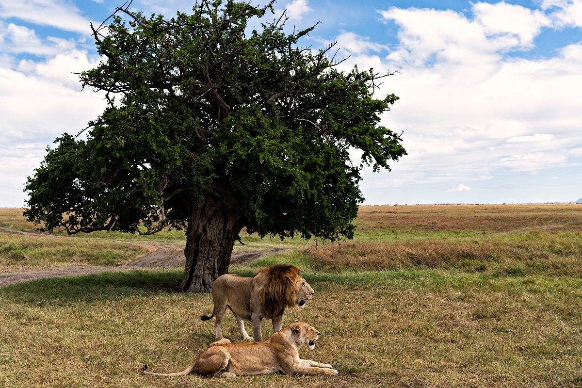 kenya photo tours
