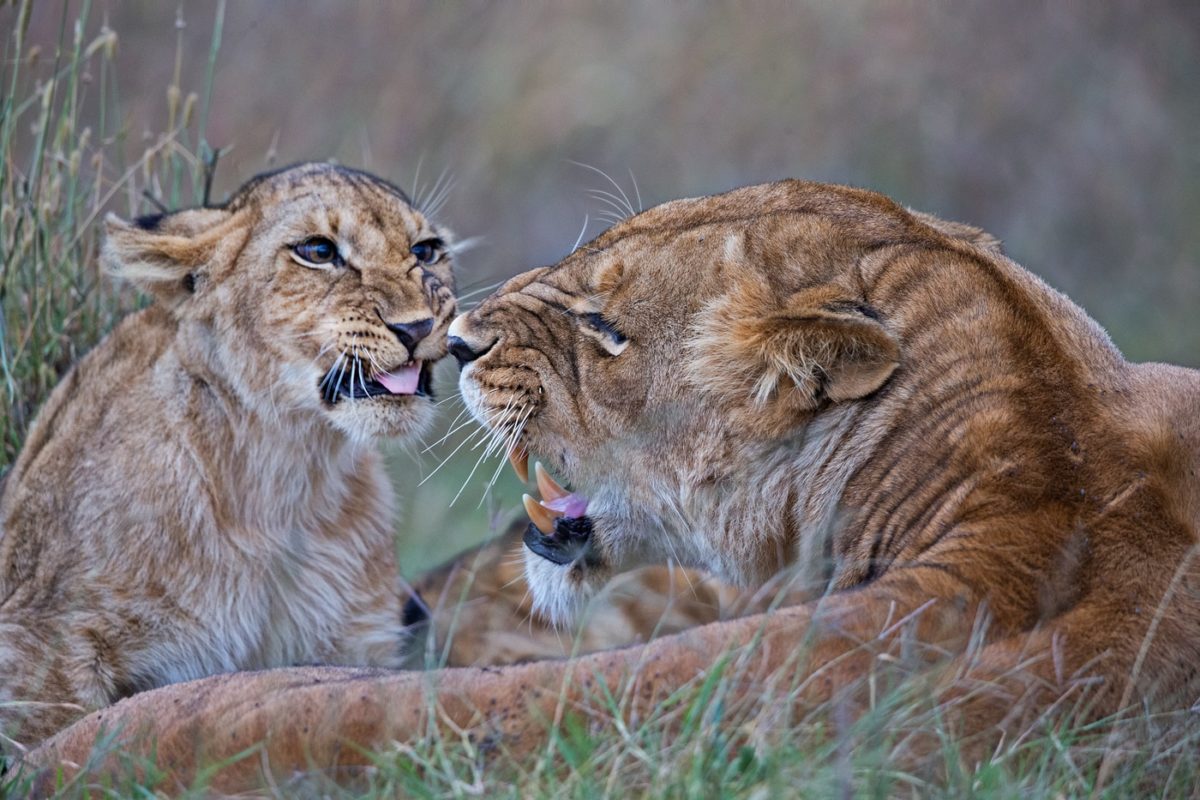kenya photo tours
