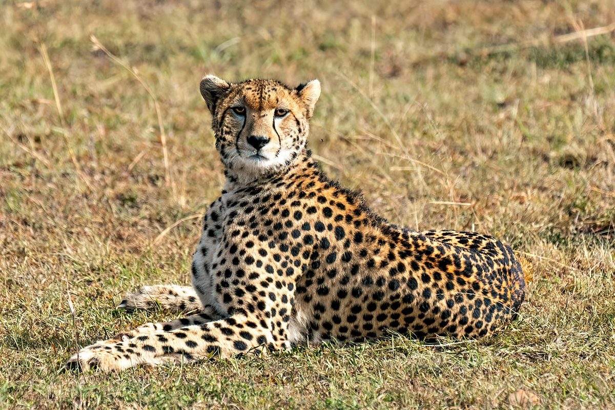 kenya photo tours