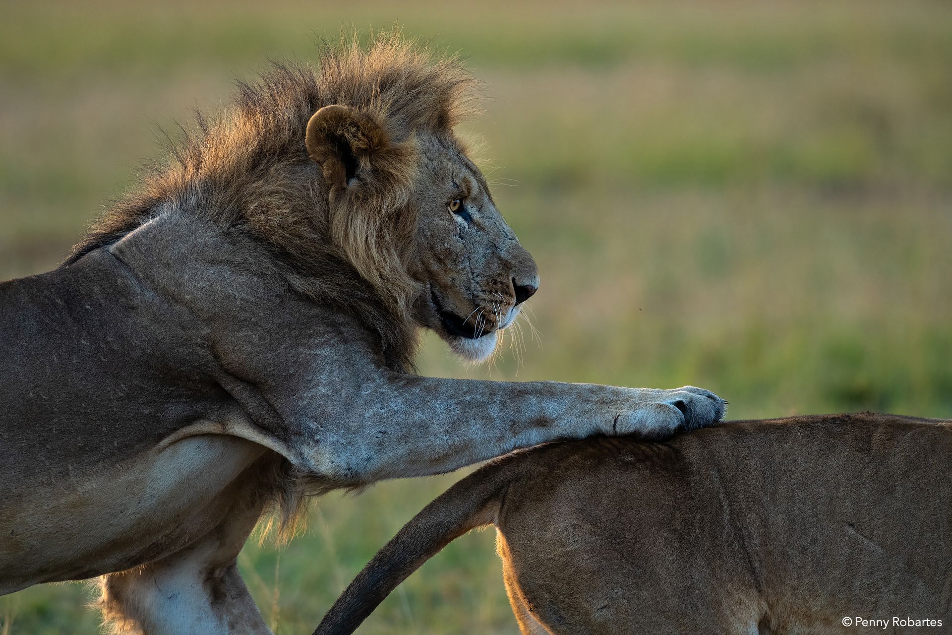 kenya photography tour