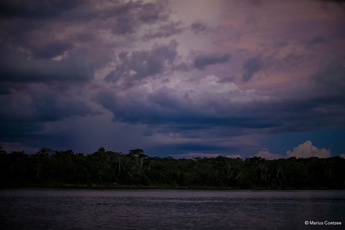 photo safaris