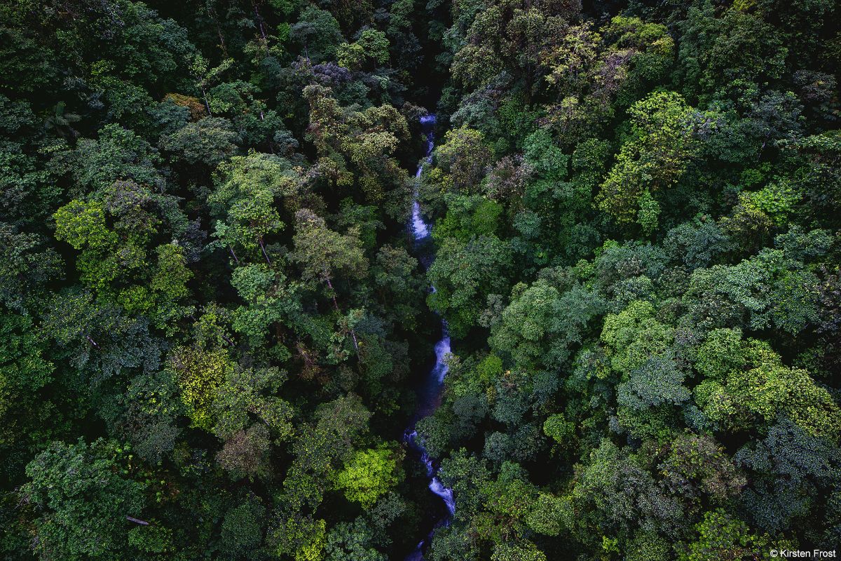 photographic safari