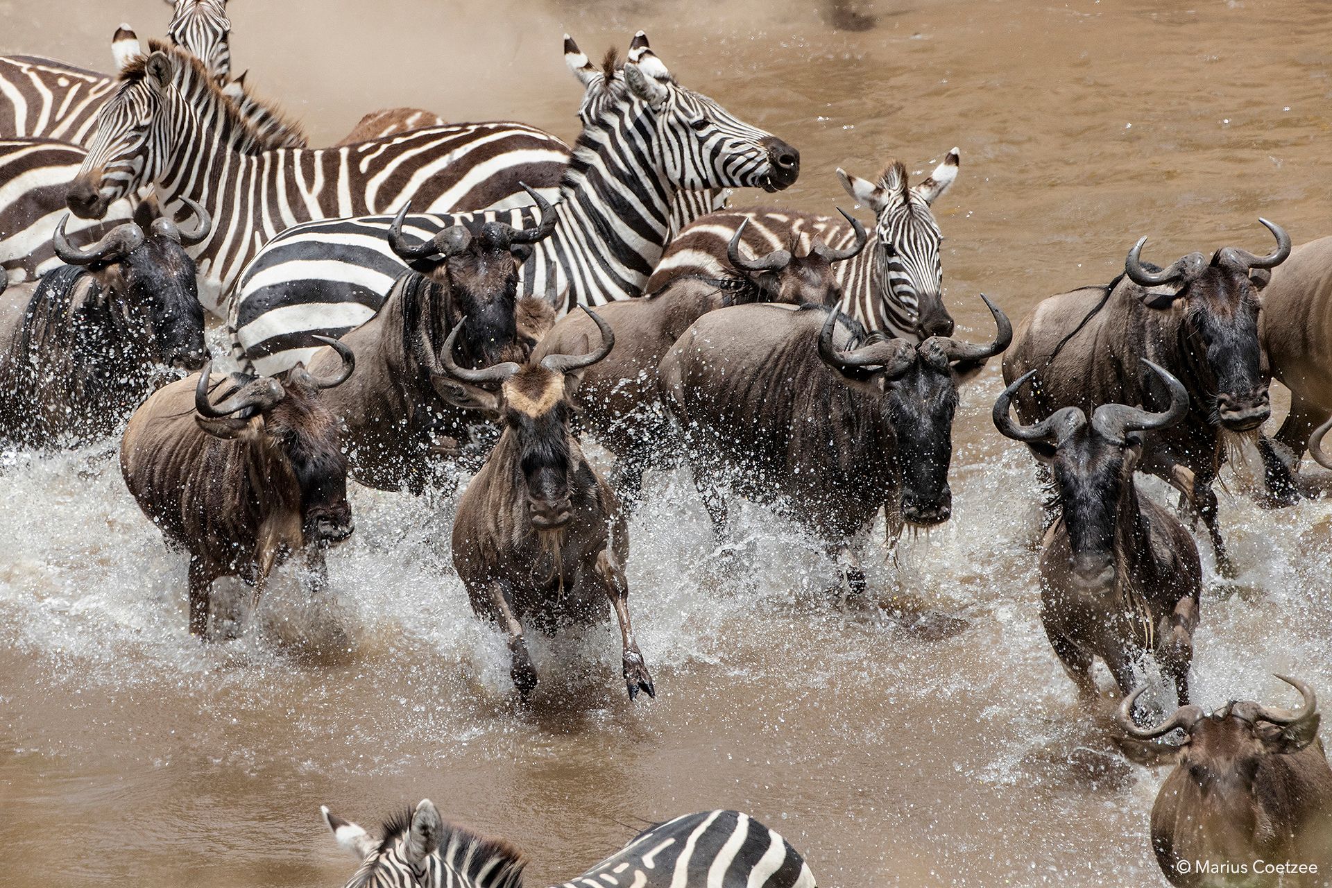 photographic safaris kenya