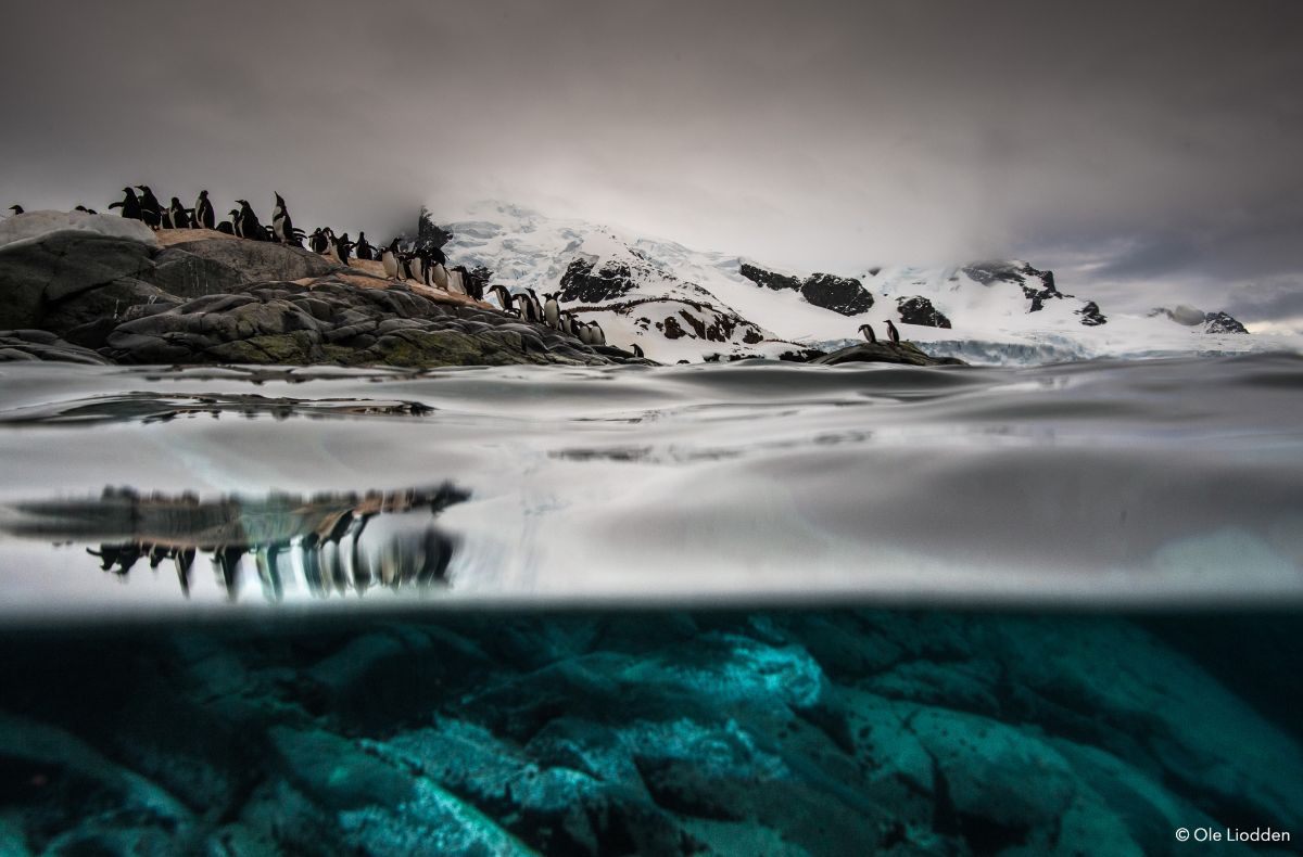 photography tours