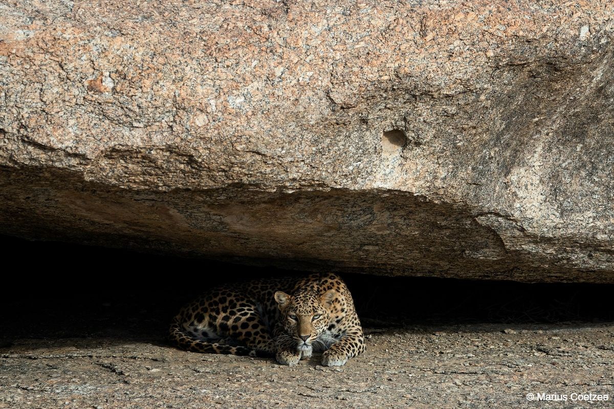 India Photography Tour