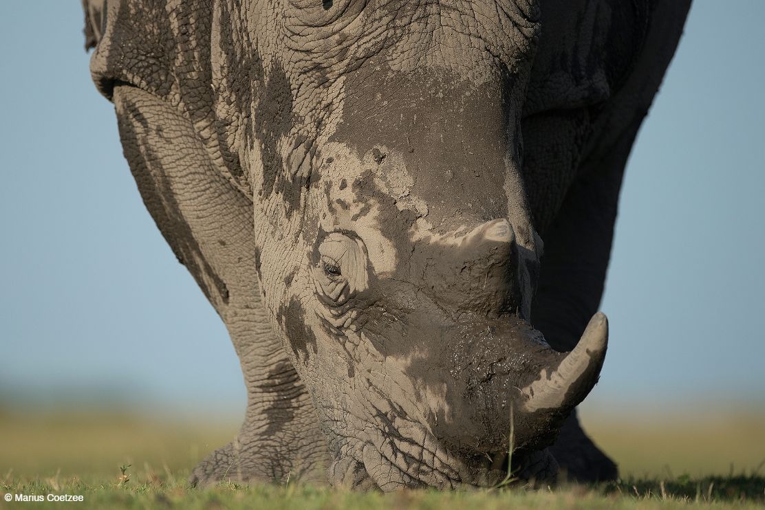 botswana photo expeditions