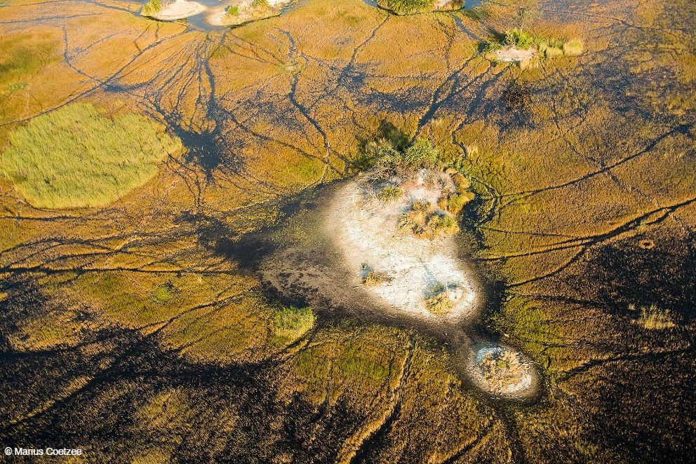 okavango photo tours