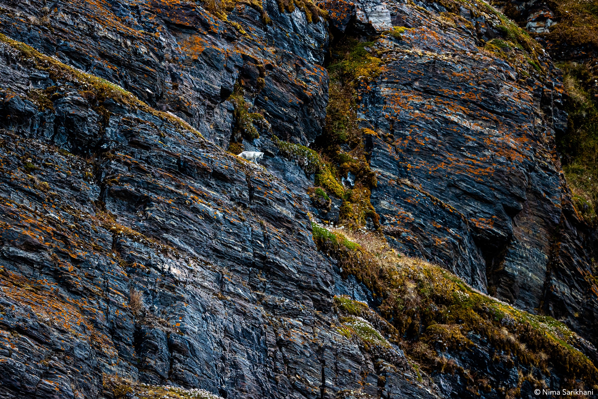 Svalbard Photo Tour