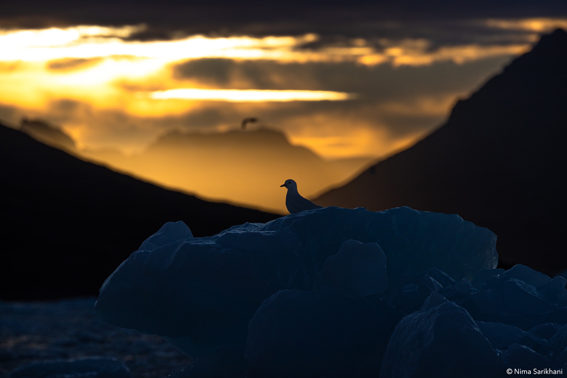 Svalbard Photography Expedition