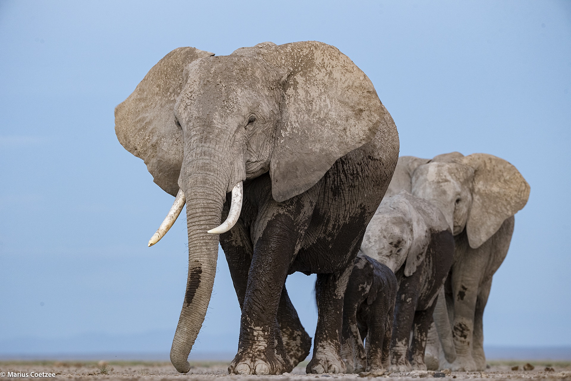 Amboseli tour