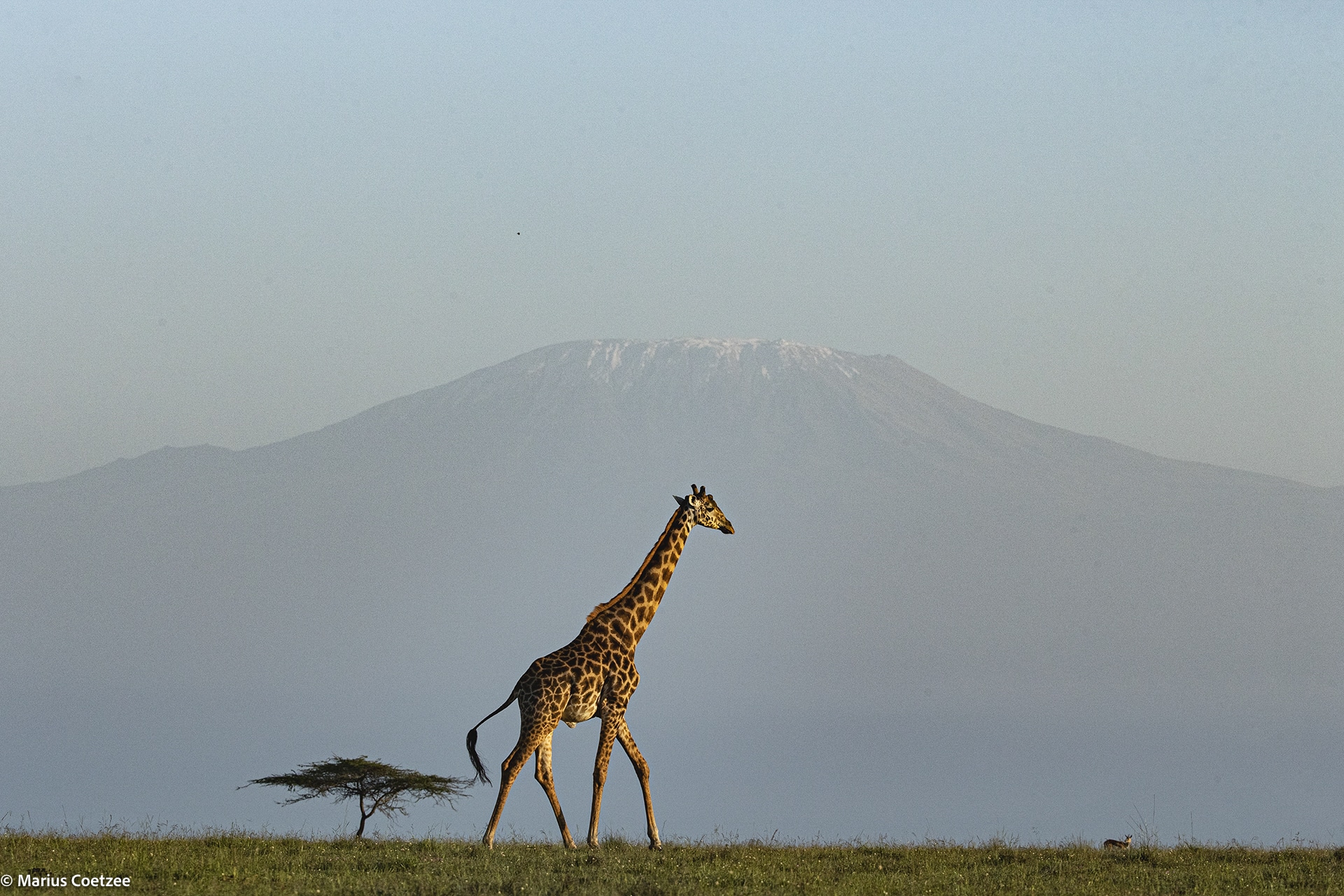 Amboseli tour
