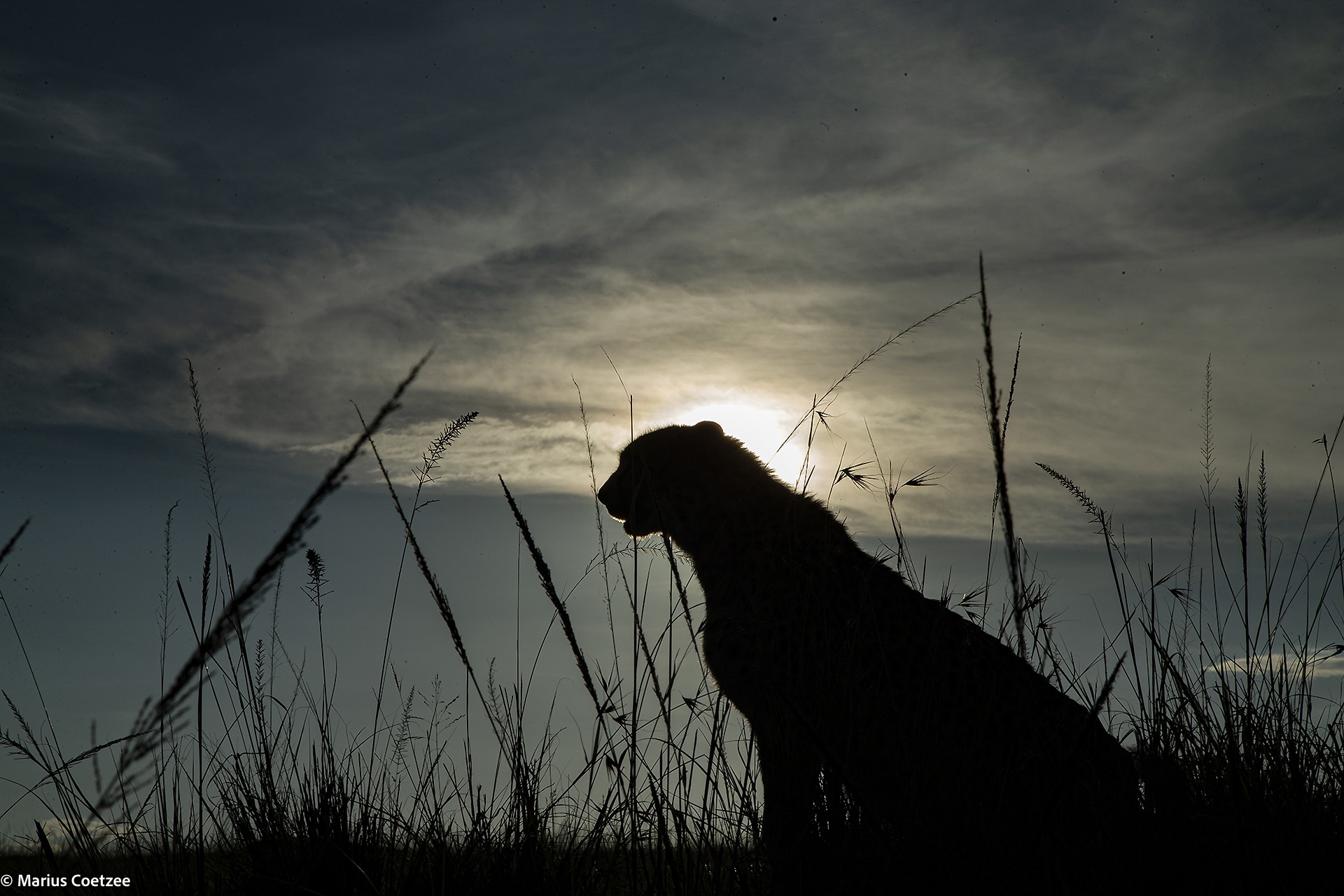 africa photo safari tours