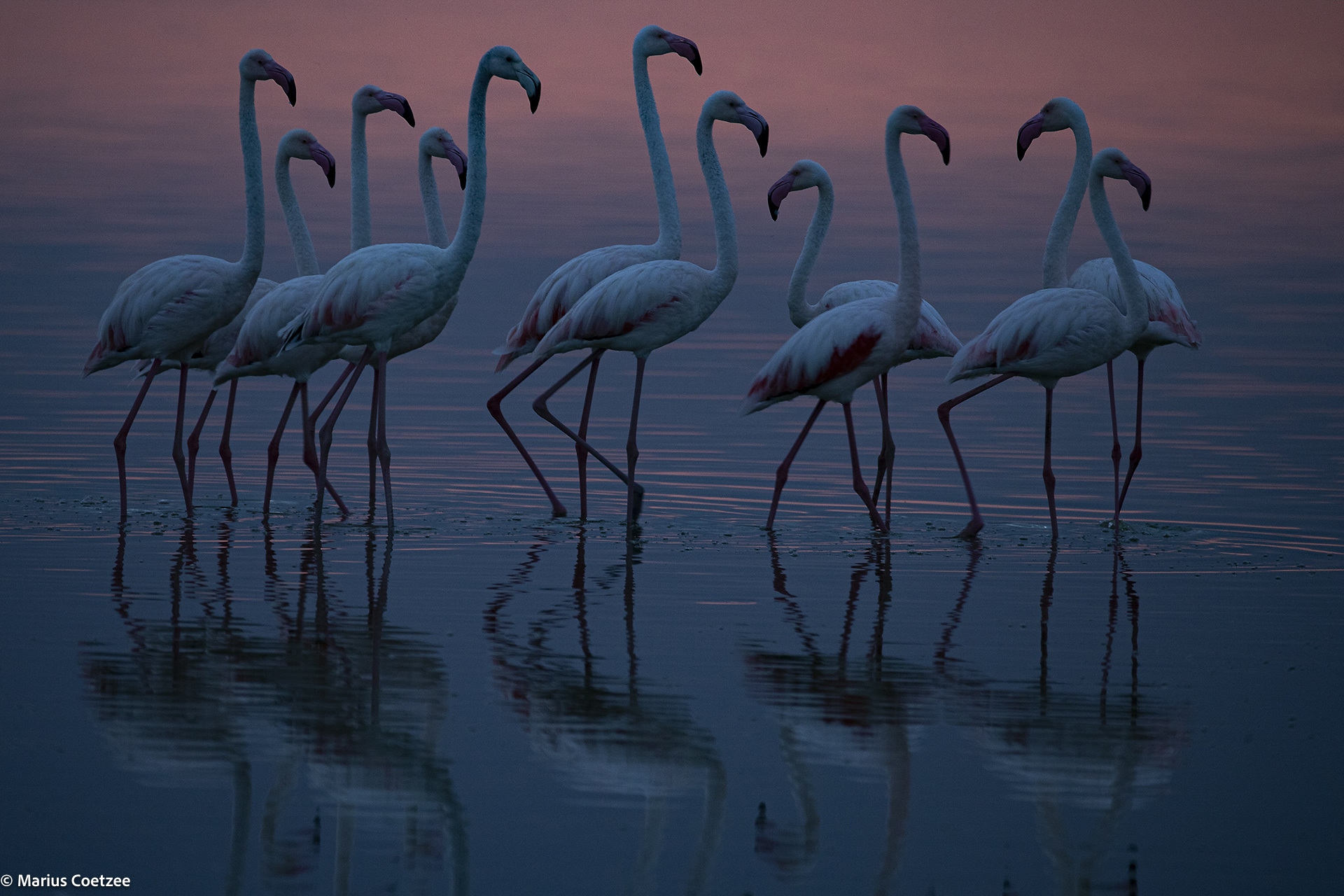 africa photo safari tours