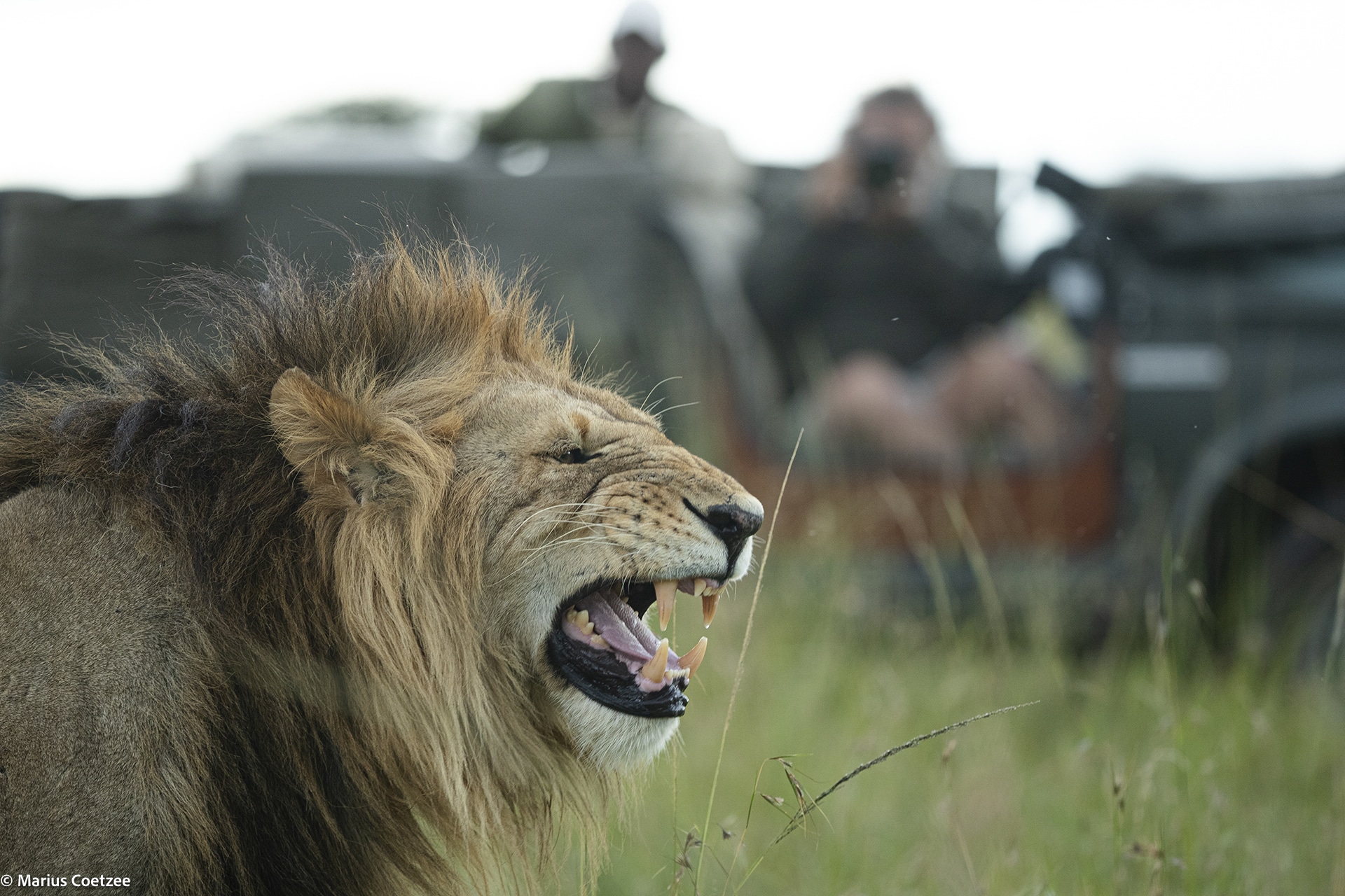 africa photo safari tours