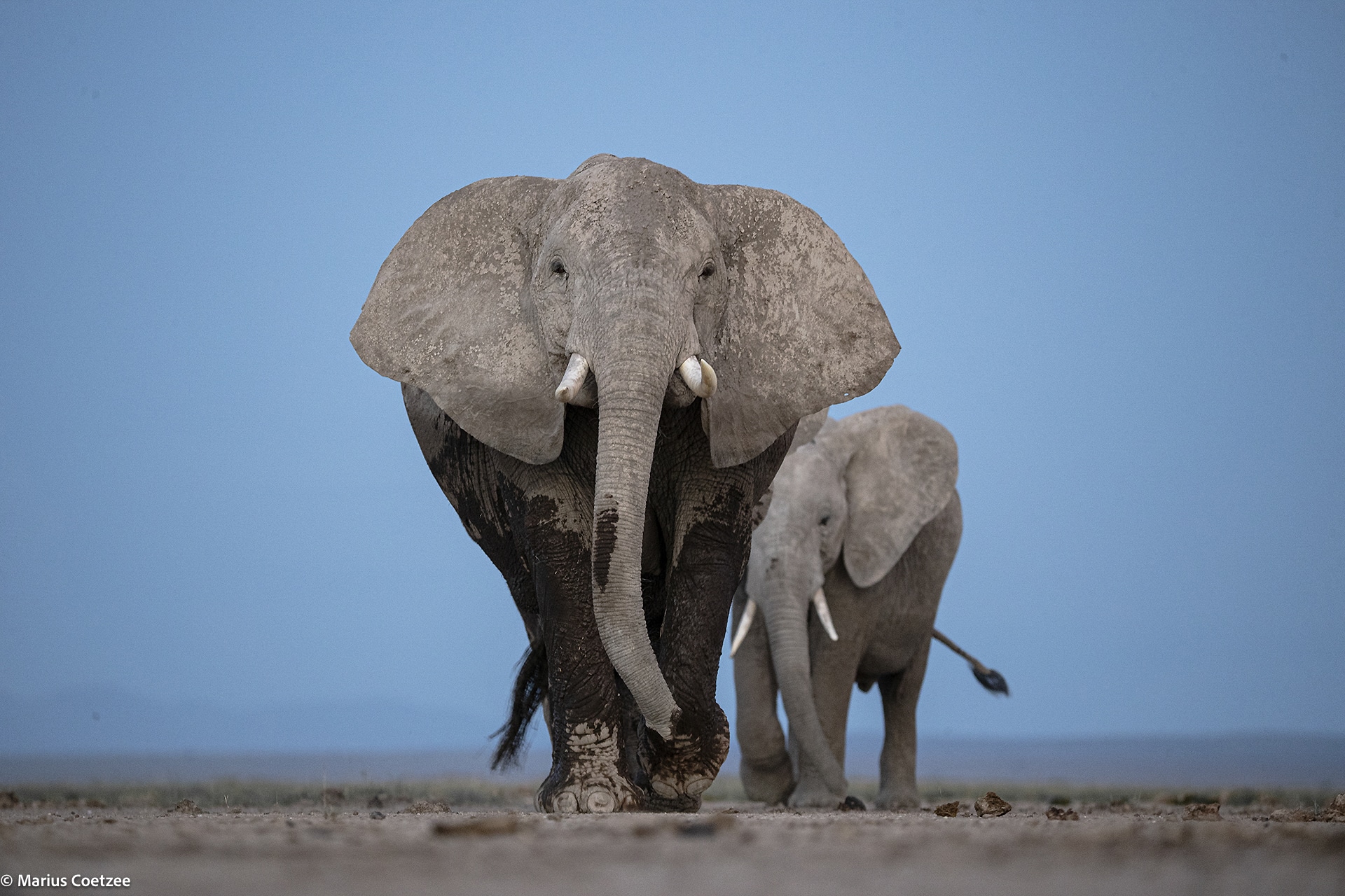africa photo safari tours