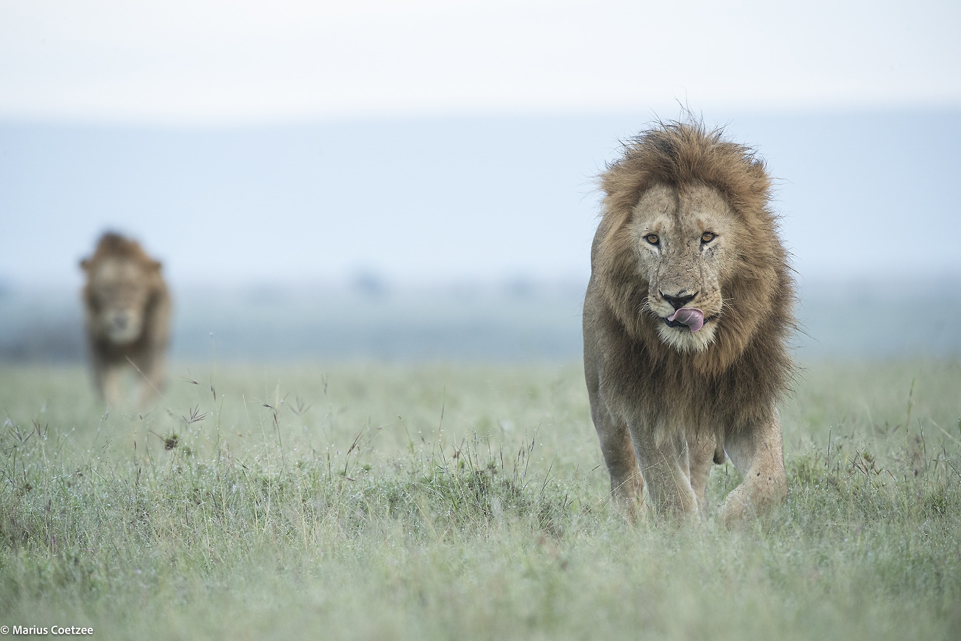 africa photo tours