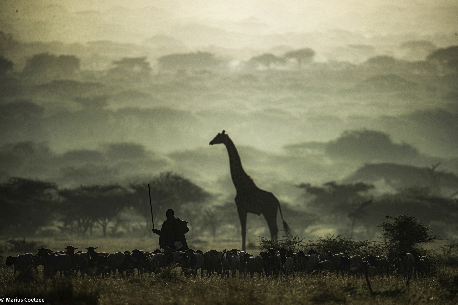 africa photo tours