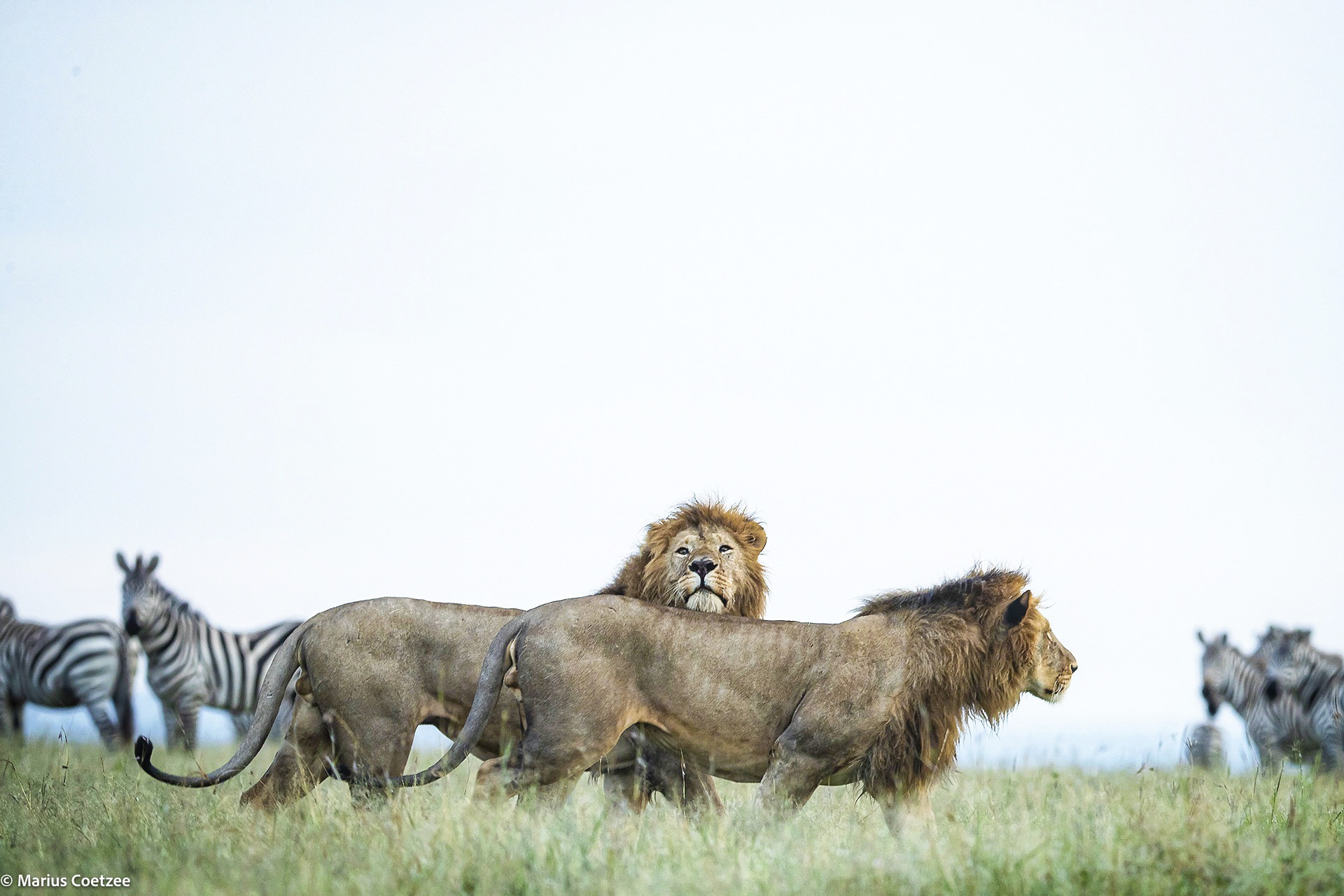 africa photo tours