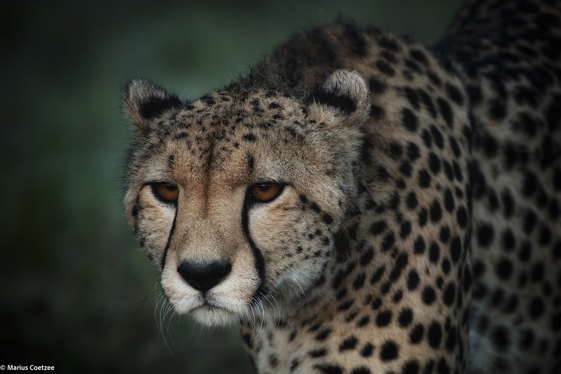 africa photography tours