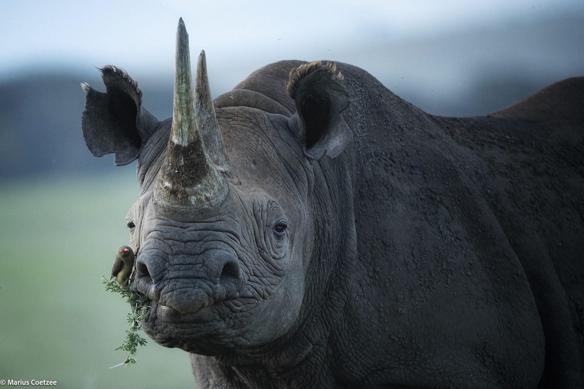 africa photography tours