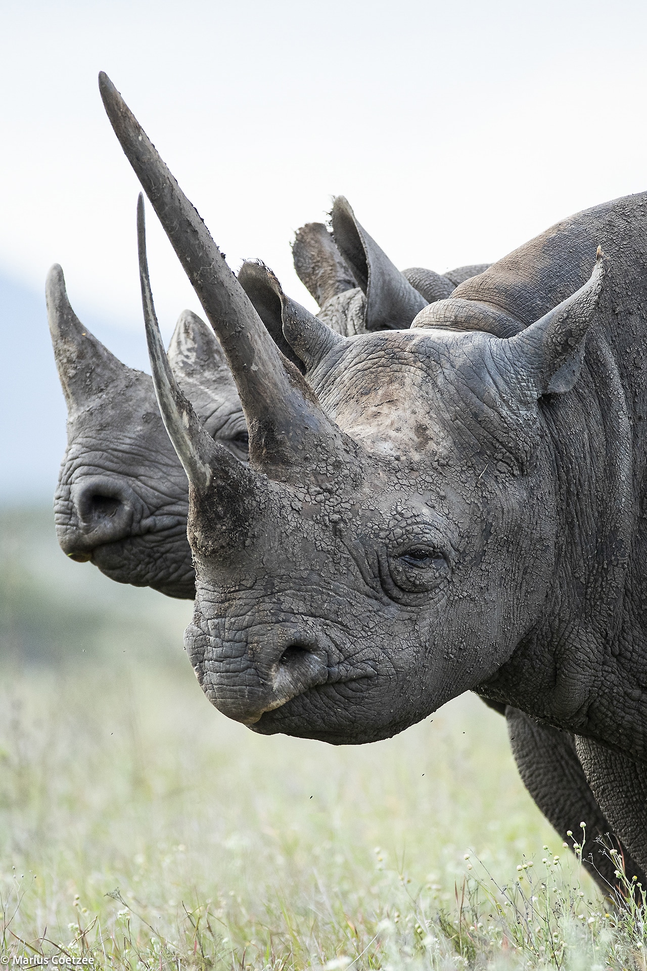 africa photography tours6