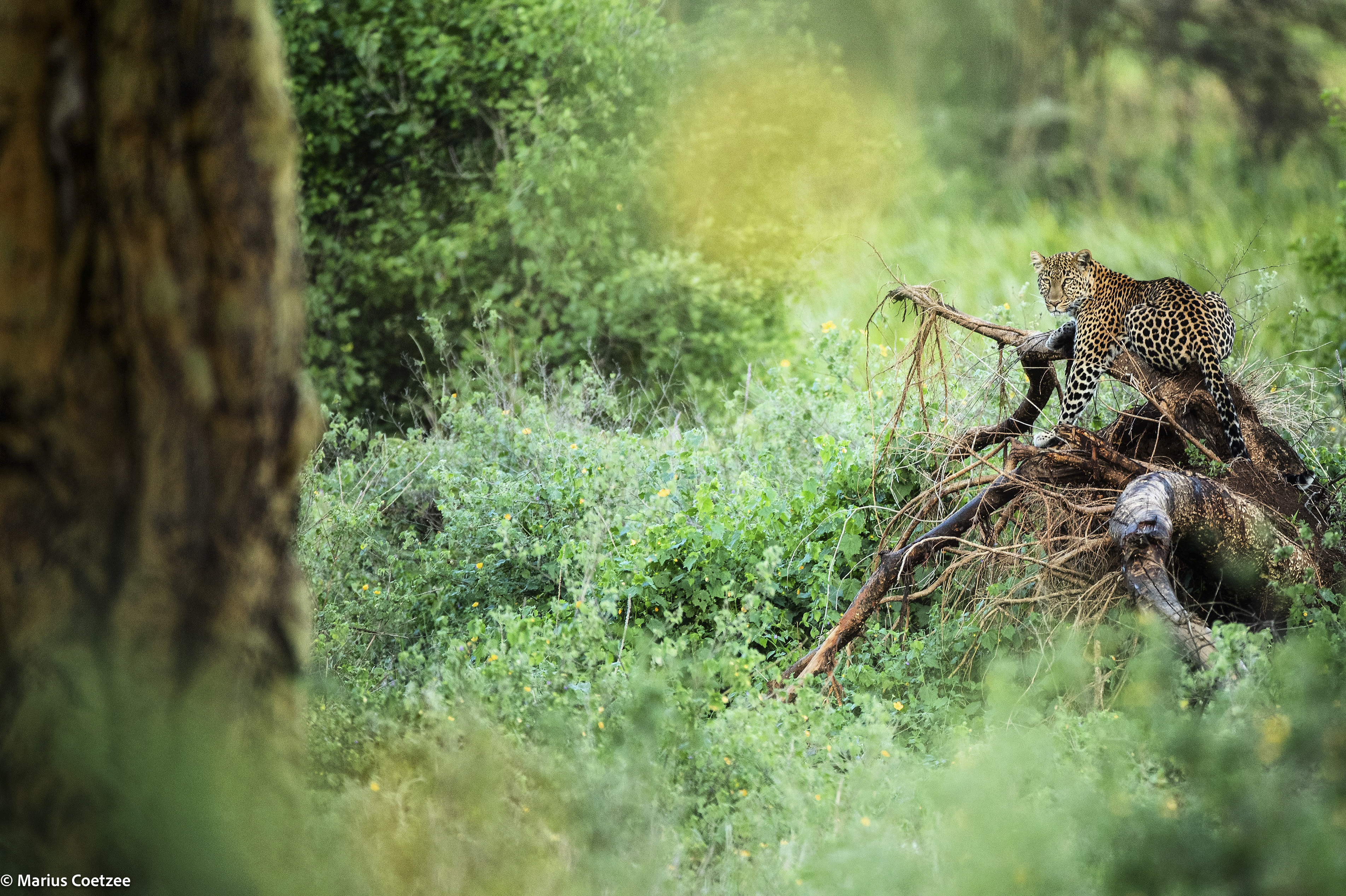 kenya photo tours