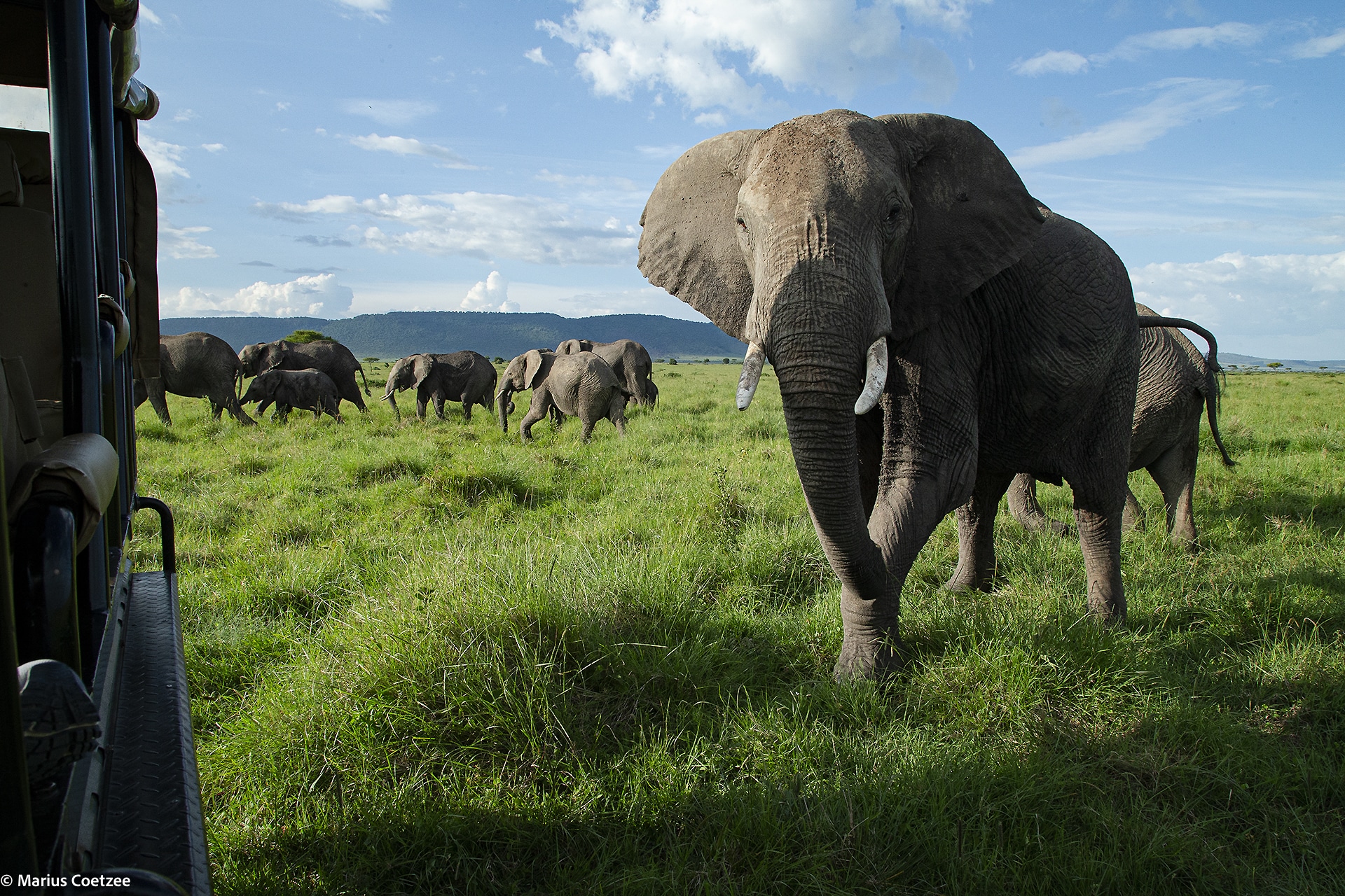 kenya safari