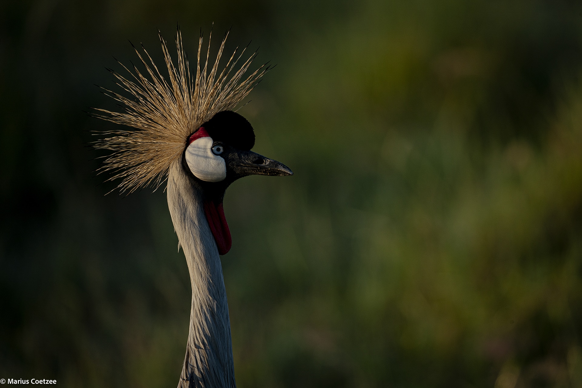 kenya tours