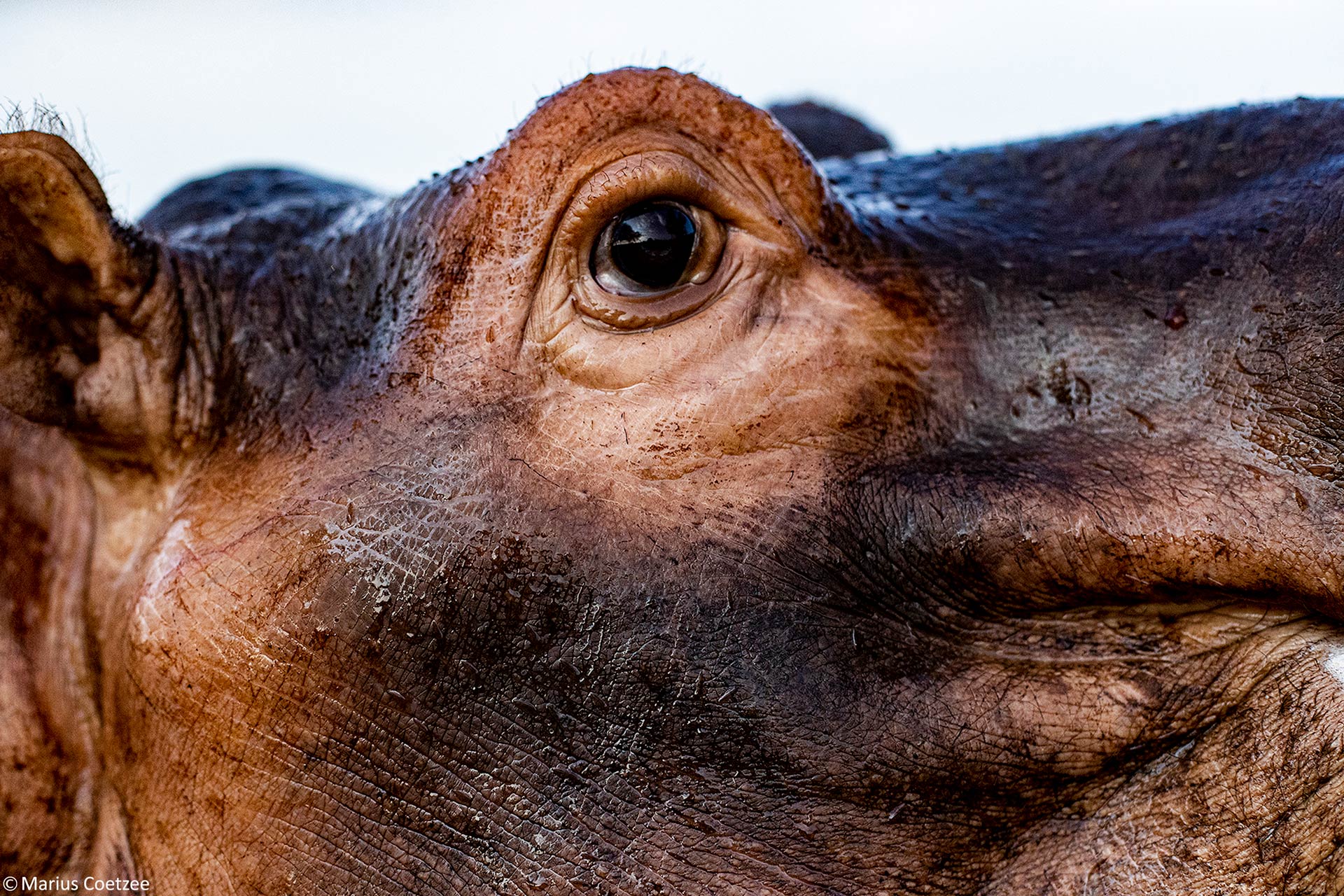 photo tours