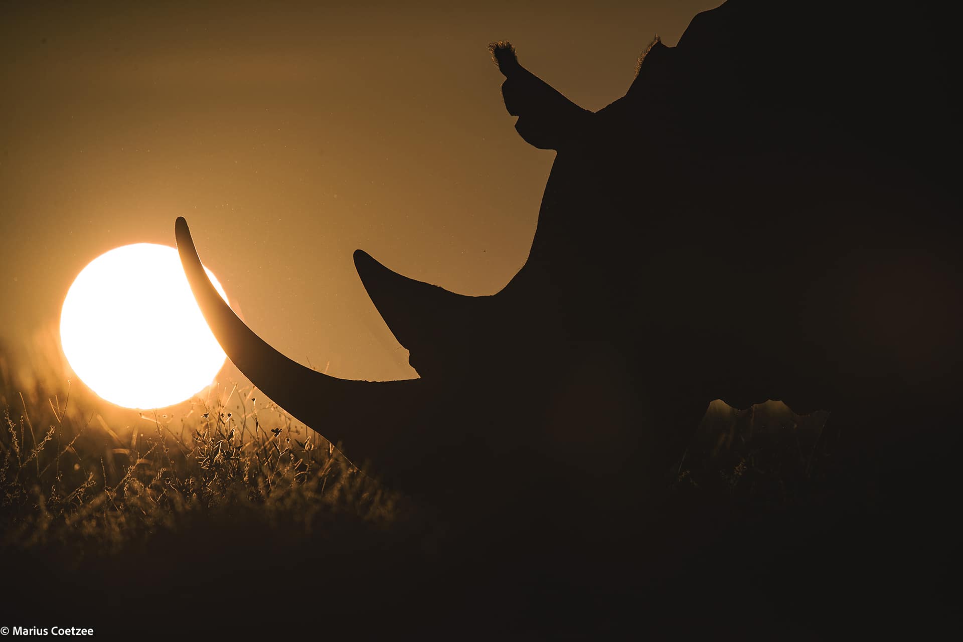 Kenya Travel